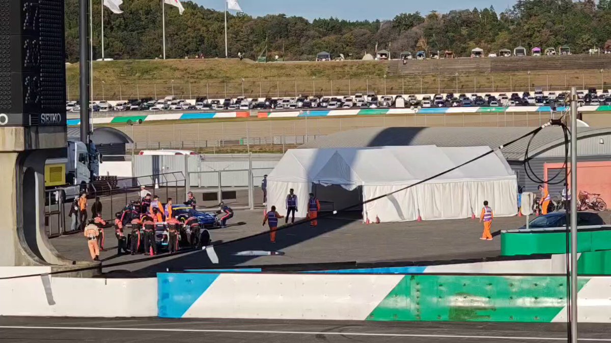 うにょぽいぬ🐈 on X