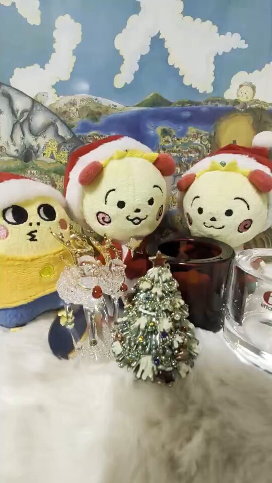 クリスマス☆仲良しシマナガエ♡ coji3 on X