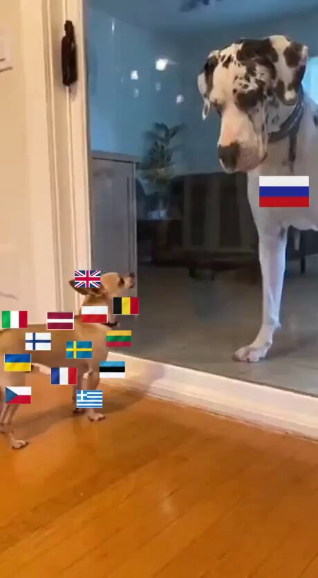 Kim Dotcom (@KimDotcom) on X