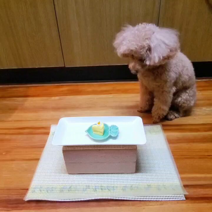 ⚡ﾊﾟﾝﾍｯﾀﾞｰ⚡ on X