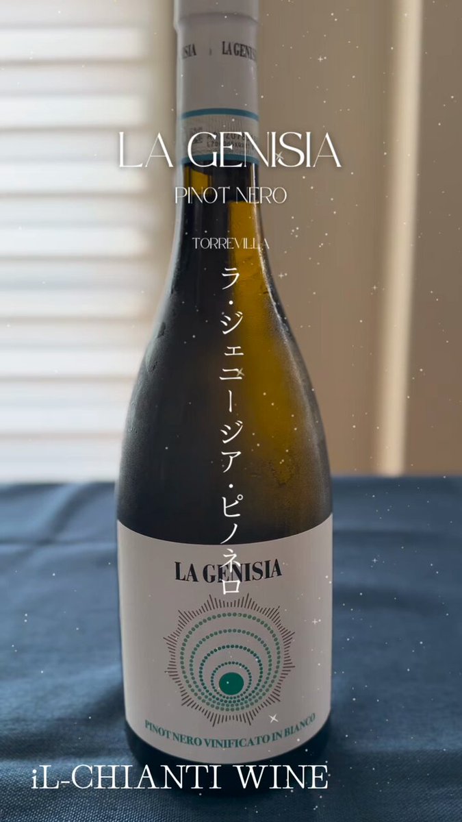 コンティの木 CONVERSE スニーカー CONVERSE/コンバース TWOTONE SK OX メンズ