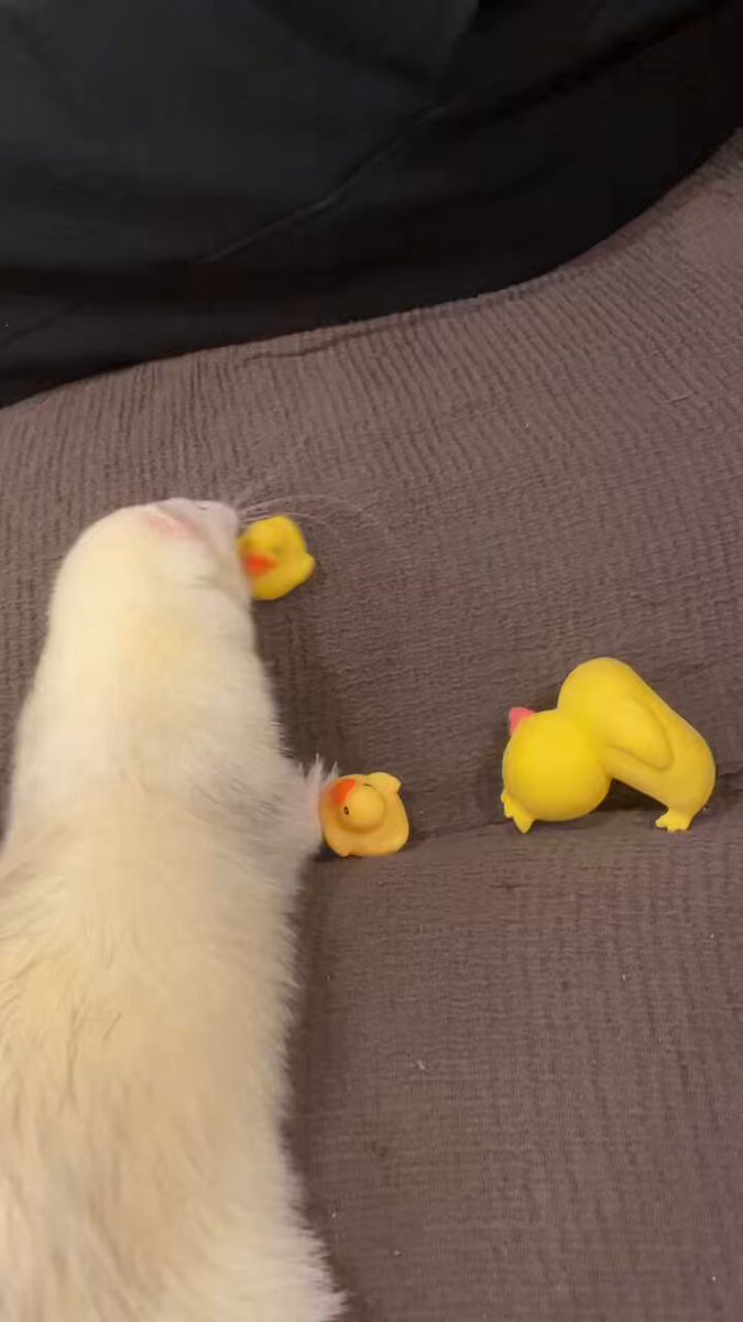 そらのすけ (@soramame_xx) / Posts / X