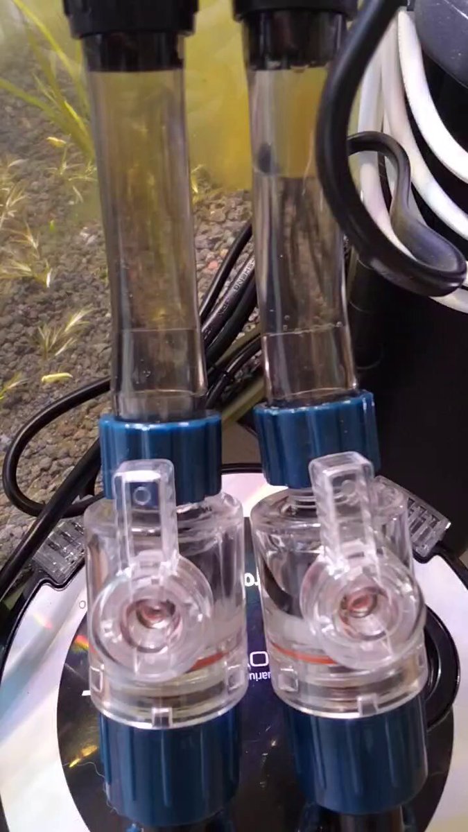 きくりん 投稿詳細｜MOTOCLE