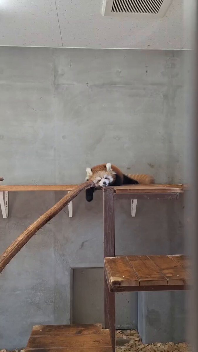 aobaページ せ茶🫖 C107(火)東ヤ-63a on X