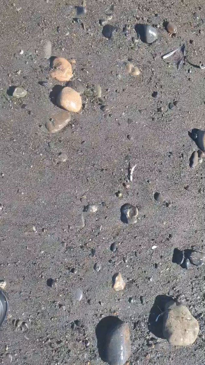 さゆりーぬ on X