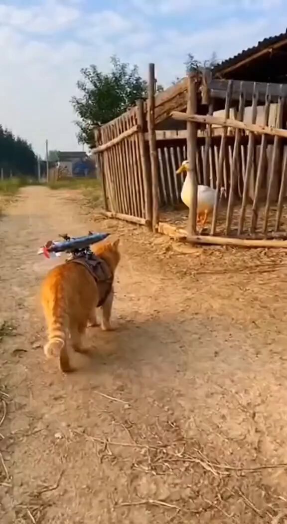 華*華❤️コメント逃げNG E6%88%A6%E4%BA%89%E5%8F%8D%E5%AF%BE