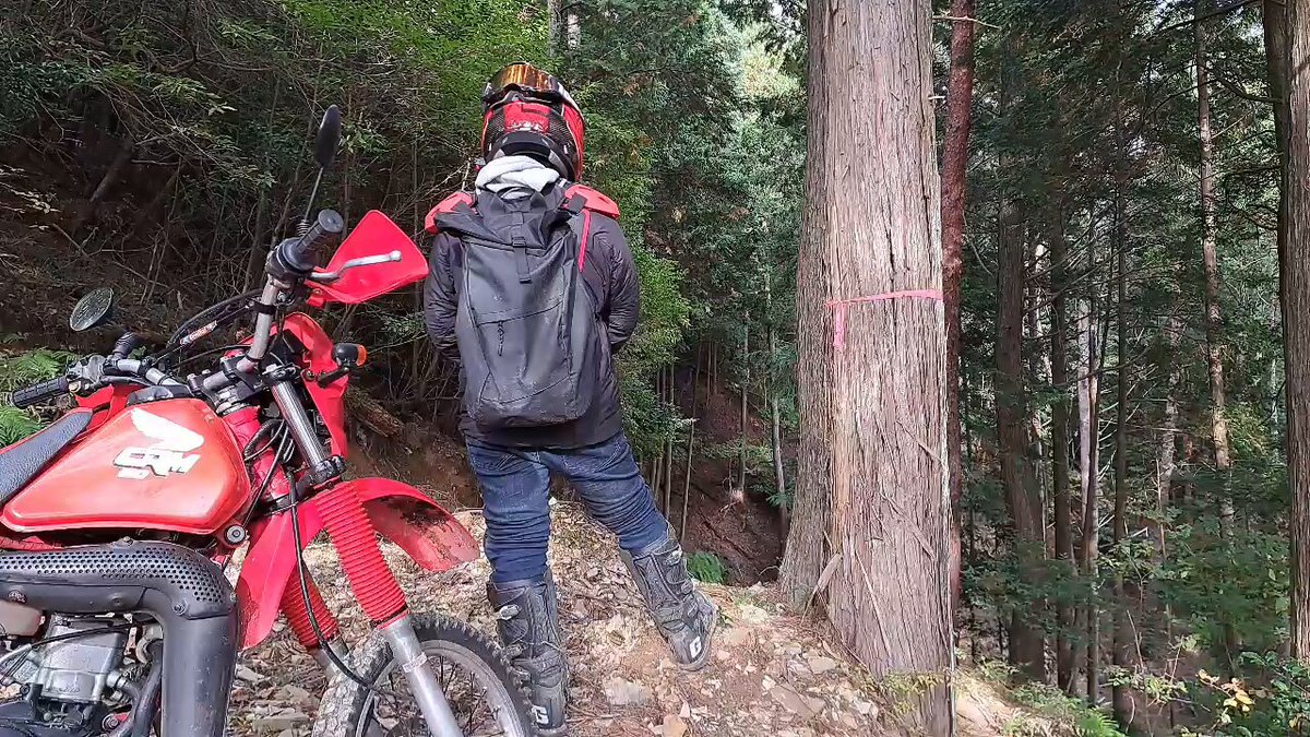 きしゅう君 on X