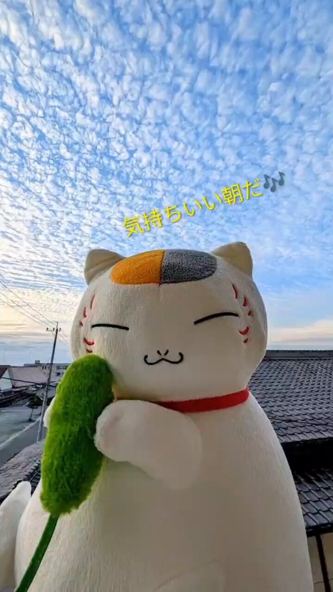 ニャンコ先生 - Search / X