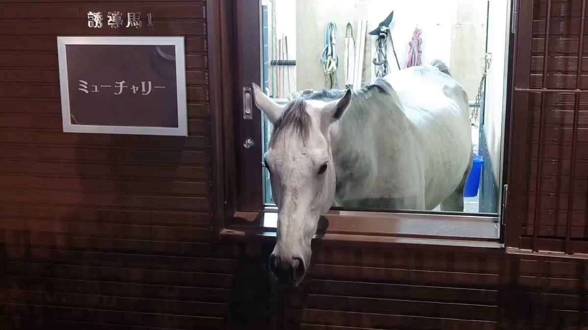 ふーか❀本日開運日ホーホケキョ桃❀ダブル八角フトマニ図 鯆 on X