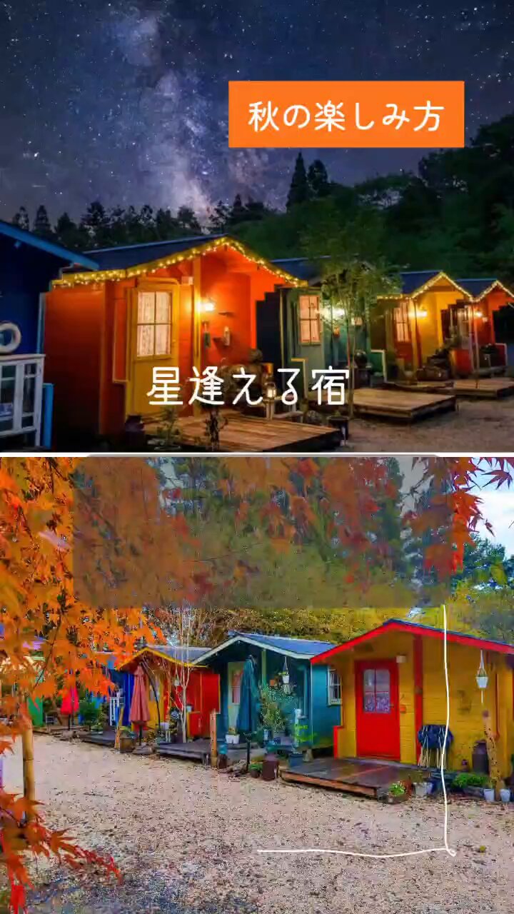 冬♡コタツで暖かお鍋♪タヌキ 冬♡コタツで暖かお鍋♪タヌキ 鍋たぬき