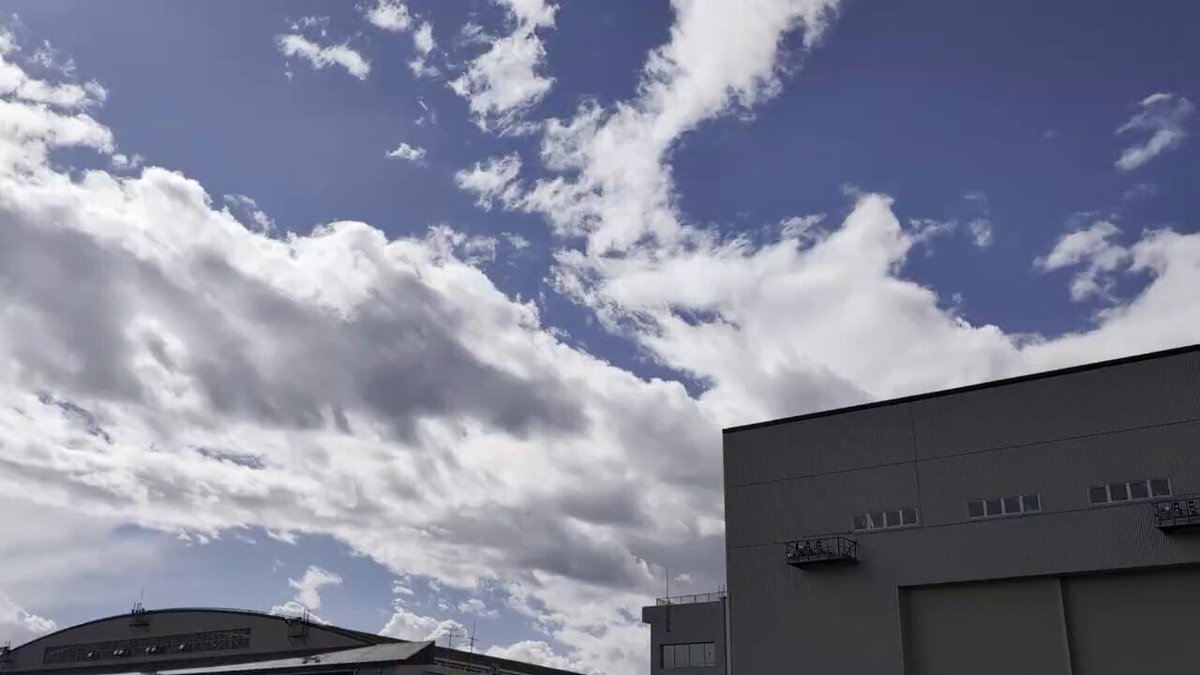 mol-74「18%の描いた季節」「八月の映画」 mol-74「18%の描いた季節