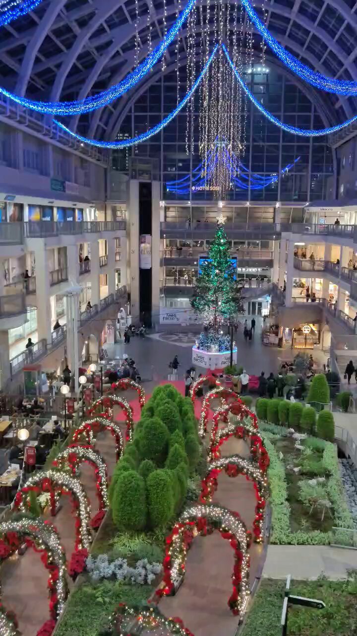 クリスマスツリー - Search / X