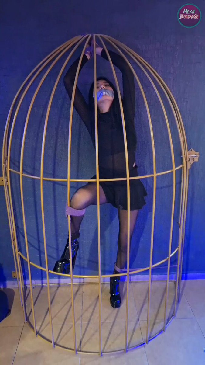 Kokraklar qozontipdan