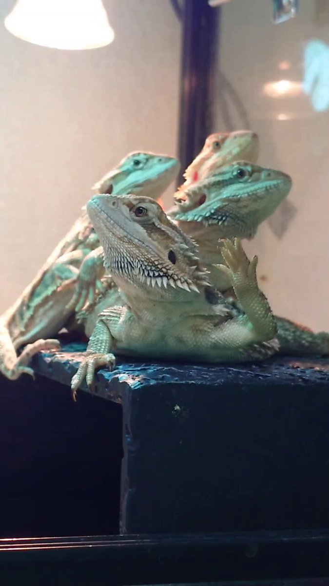 響夜 (@luvmoonluv) / Posts / X