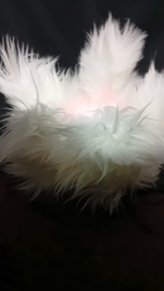 もふもふオーダーページ•*¨*•.¸¸♬ まふまふ＠12/25『世会色ユニバース』 (@uni_mafumafu) / Posts / X