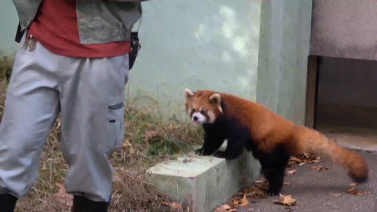 rinko (@mii07130) / Posts / X