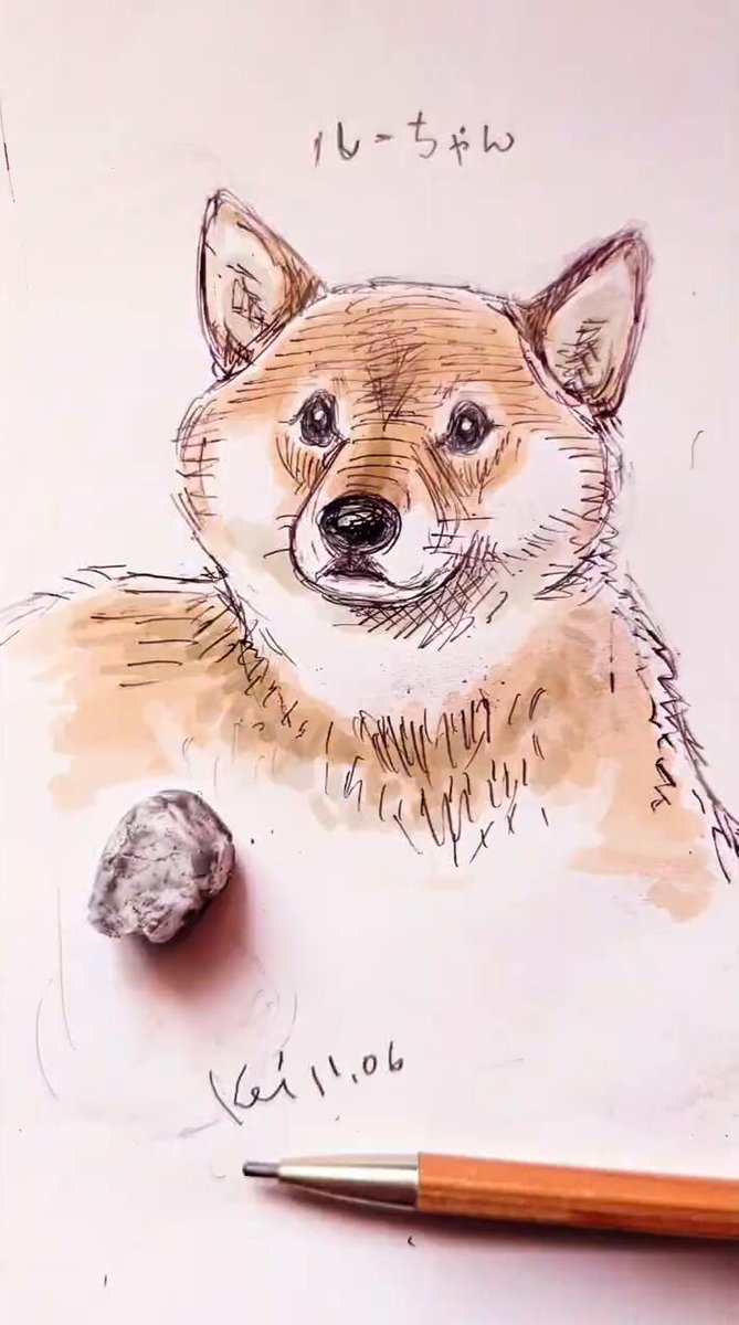 ozekikeiko｜illustrator (@ozekikeiko_tw) / Posts / X