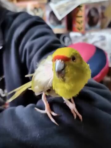 モアイ (@qmnAIx9yHG0nfOk) / Posts / X