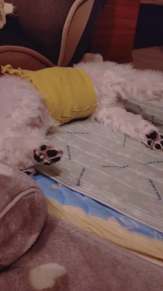 にこまる (@6yQgZFNMNk76215) / Posts / X