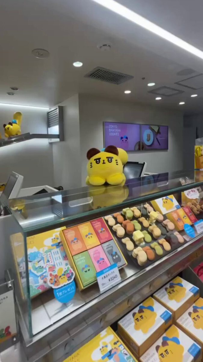 にゃも (@nyamo_nyanmo) / Posts / X