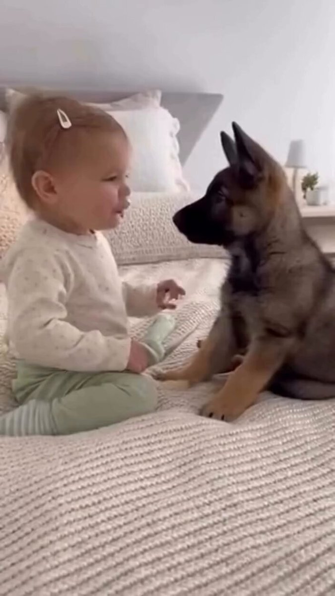 まろにーちゃん 生マロニーちゃん公式 (@malonyofficial) / Posts / X