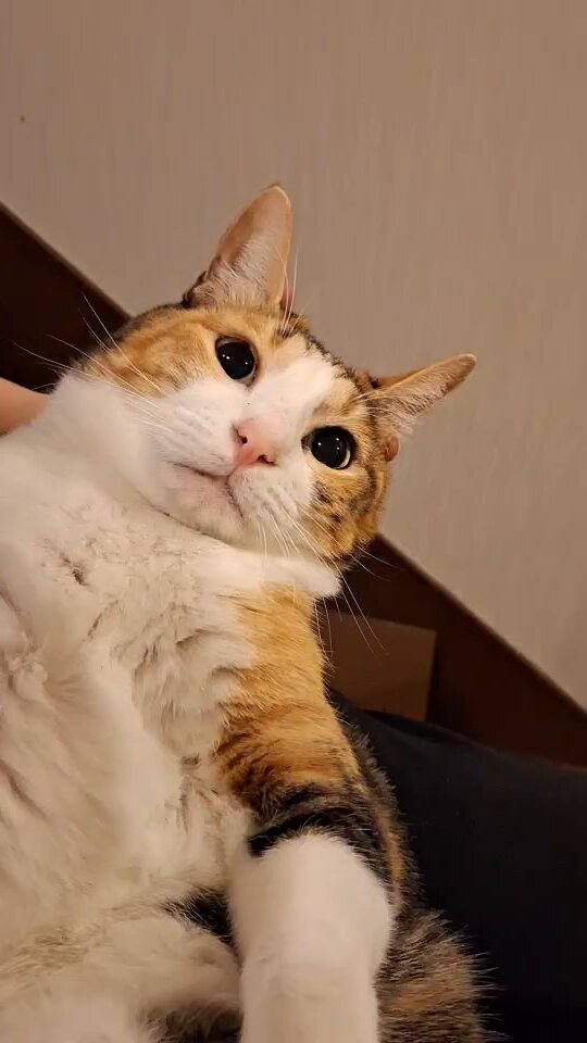 ｷｭｰ•ｼｵｼﾞちょっと忙し (@9402_13w) / Posts / X