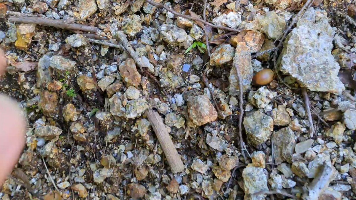 Sugiura【登山・鉱物・魚】 on X