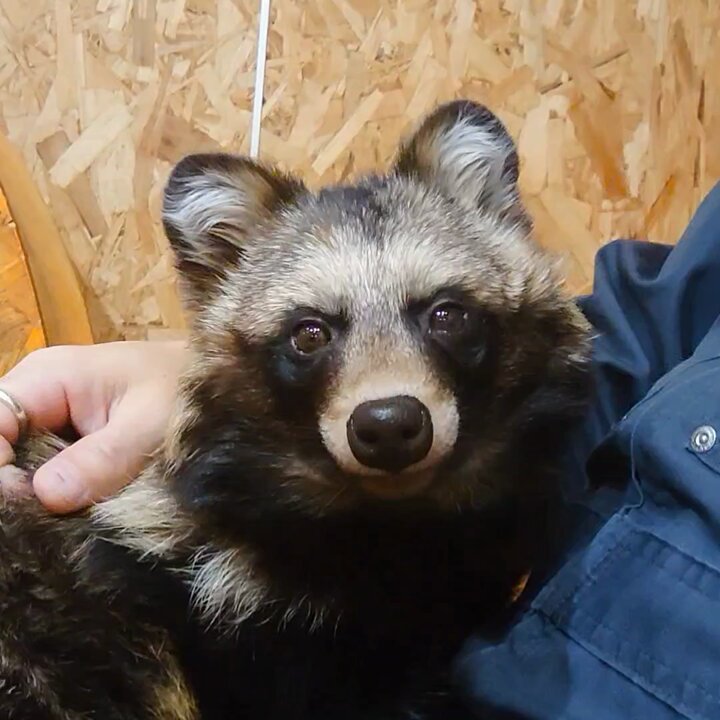 名無しの権兵衛 (@nameless070113) / Posts / X