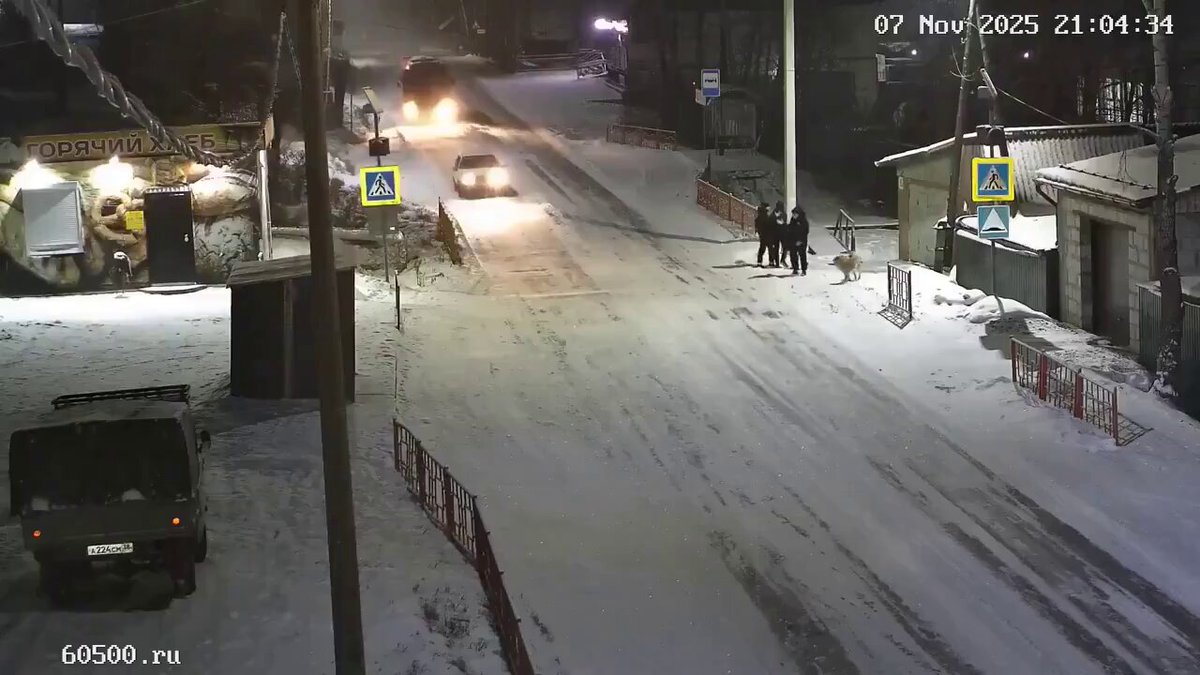 Volochkovaning mushuki