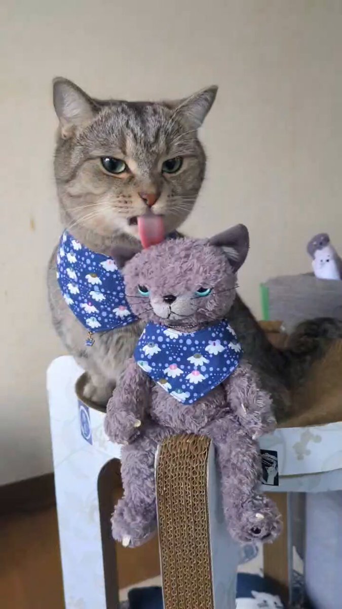 ぐく丸吉⟡.* 三吉彩花 | -GUCCI- あらゆる意味において唯一無二であり プレシャスな