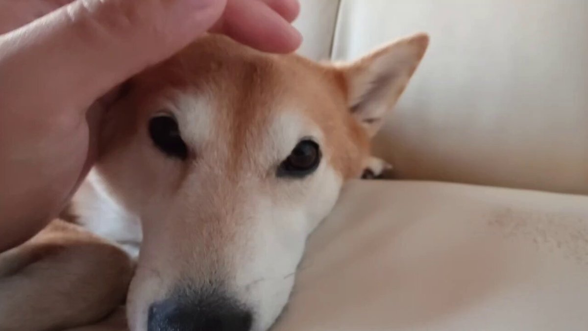 しろ＊プロフご確認くださいページです じぶん銀行アプリでの口座開設申込時のご注意 | auじぶん銀行