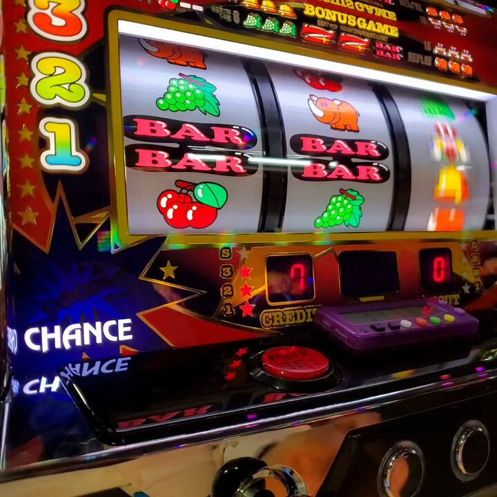 ✱*✱様 ❤️開花株❤️897Ash【ATLAS】超巨大充実❤️超大株❤️根パン デリカツ on X