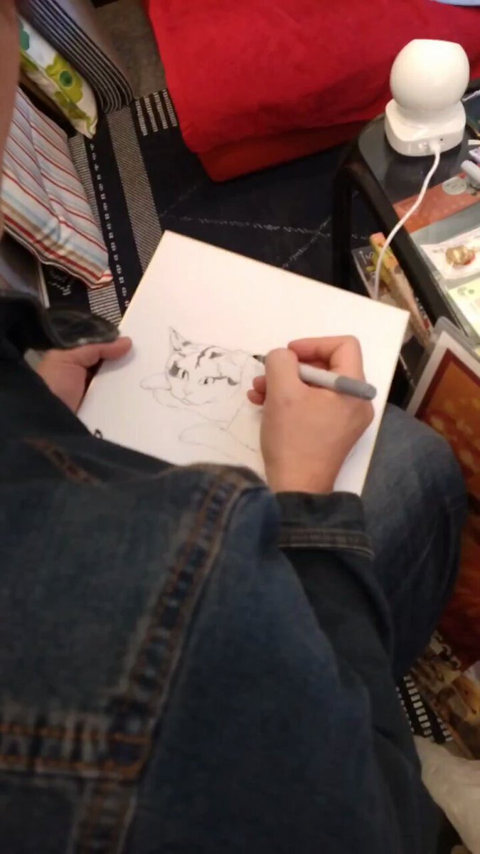 ミケちゃん on X