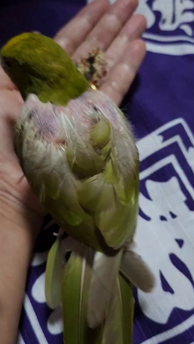 モアイ (@qmnAIx9yHG0nfOk) / Posts / X