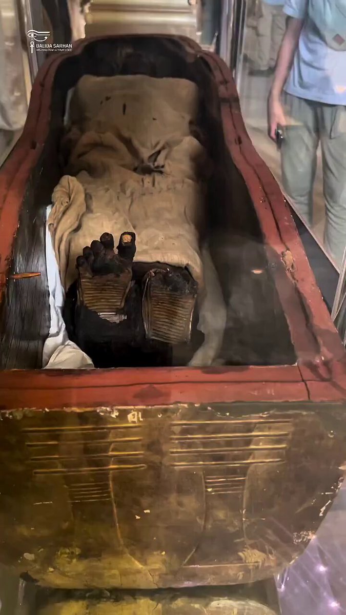 白兎様ご確認ページ 白兎 - Search / X