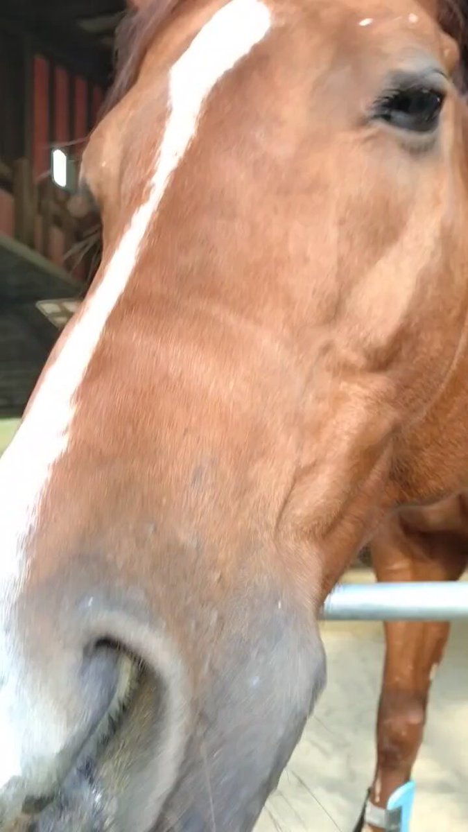 りおん (@amullion7) / Posts / X