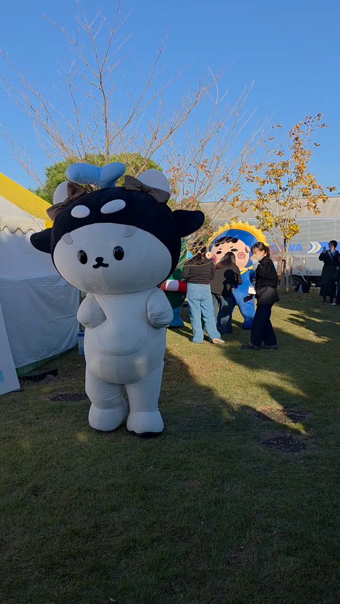 ☀🐰👻かぶ🇹🇭🇯🇵 (@kabuhix0520) / Posts / X