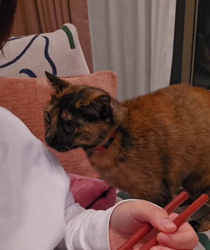 ねぎまぐろページ ねぎまぐろ (@White_Fool) / Posts / X