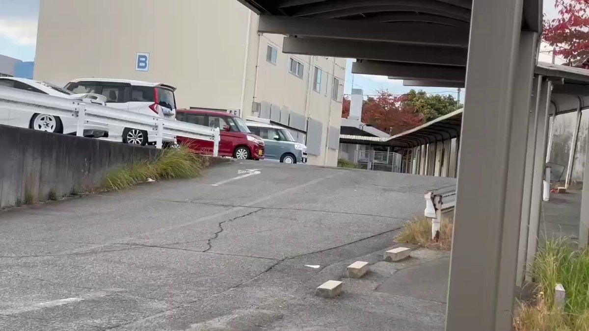 しろくま様 📮👀✨ 今年も郵便局コラボかわいいです^ ^📮🤍🩵 今年はしろくまの