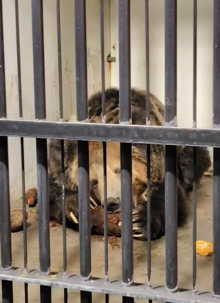 さこθ (@sako4ta) / Posts / X