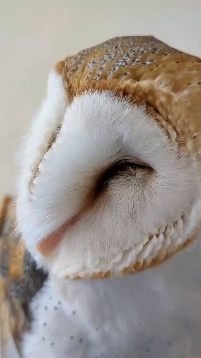 けこ (@UfEutXinpDk3zq2) / Posts / X