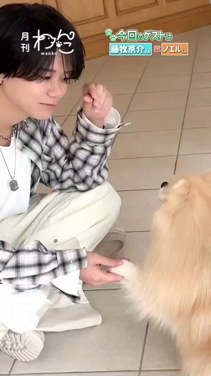 INI藤牧京介 ユニフォーム、タオル、リストバンド mamemame🐉 (@mamemameini) / Posts / X