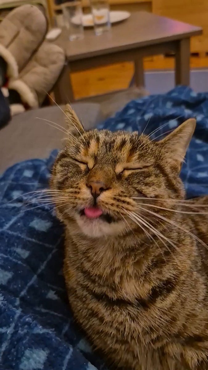 たけポン。 (@Takepon05921) / Posts / X