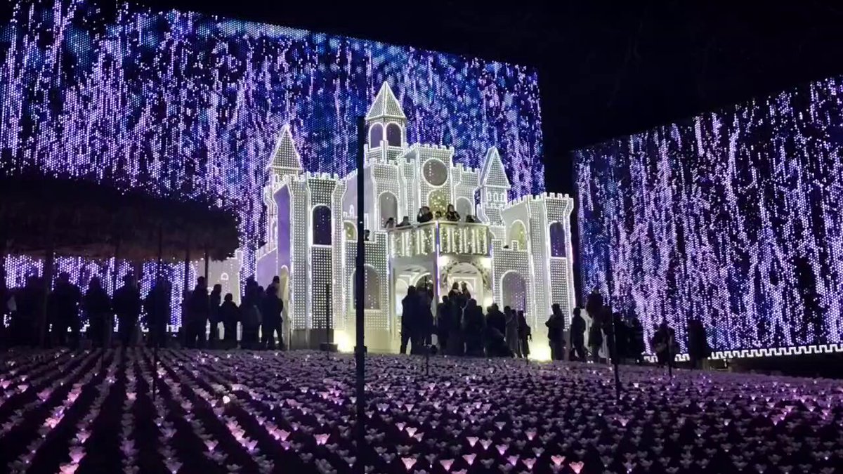 ✿ クローバー様 ✿ クローバー♧ (@clover_Dec25) / Posts / X