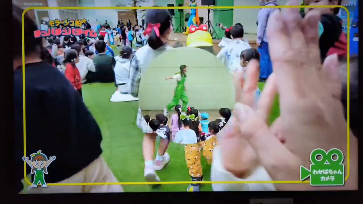 シュプのすけ様 KS24FCS08]KAPTAIN SUNSHINE(キャプテンサンシャイン) Suvin Suede