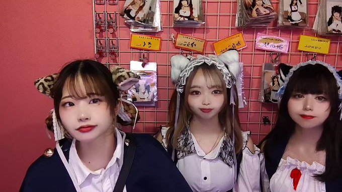 みけねこcafe清瀬本店のツイート