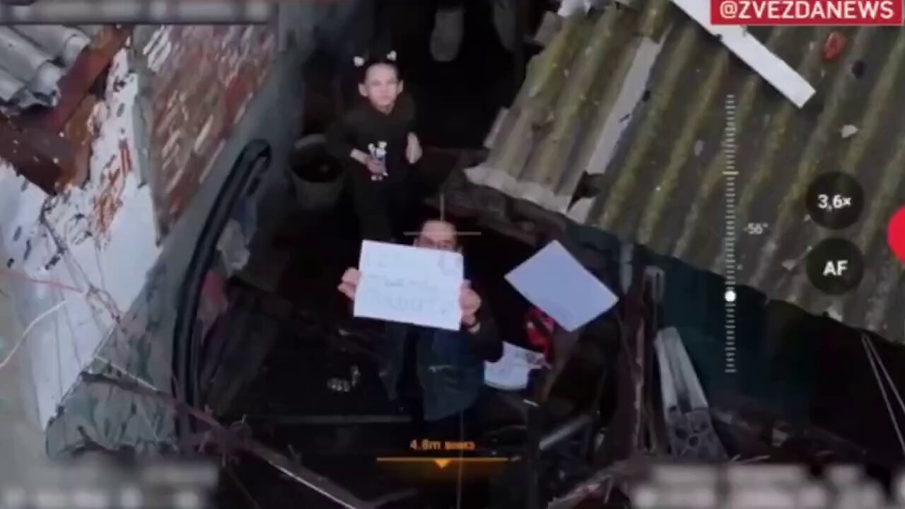 Jungle Journey (@JnglJourney) on X