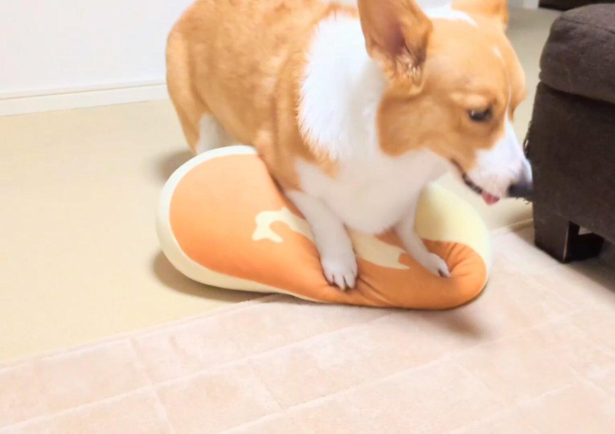 あずしゃー (@azusa7mc) / Posts / X