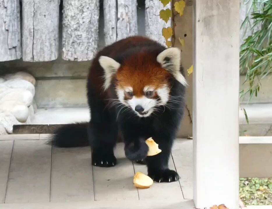 さこθ (@sako4ta) / Posts / X