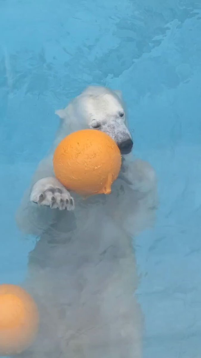 さこθ (@sako4ta) / Posts / X